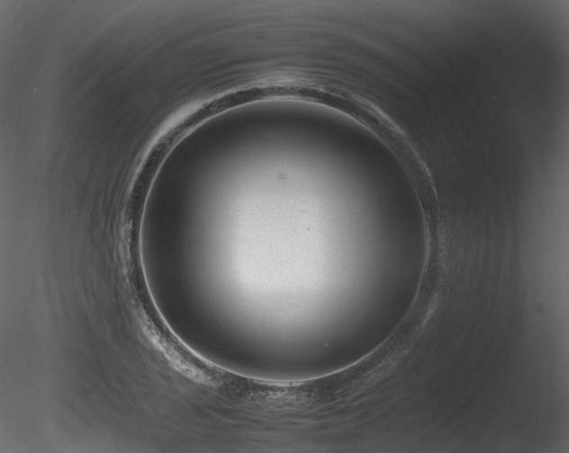 X0000085831029200703161318