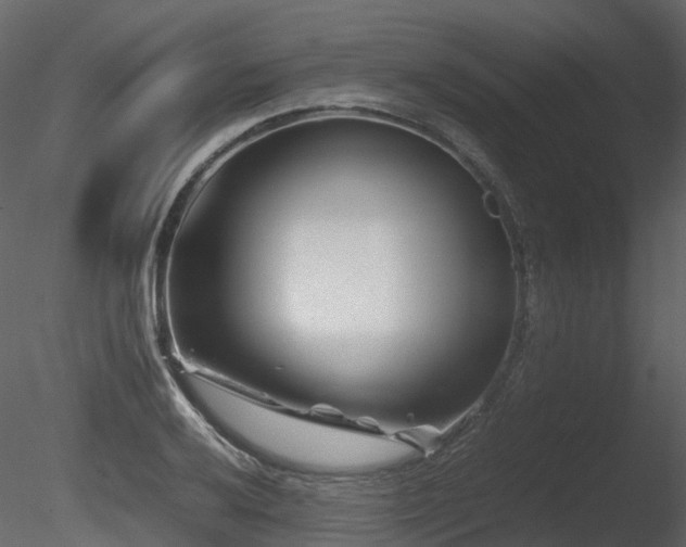 X0000085831032200703161318