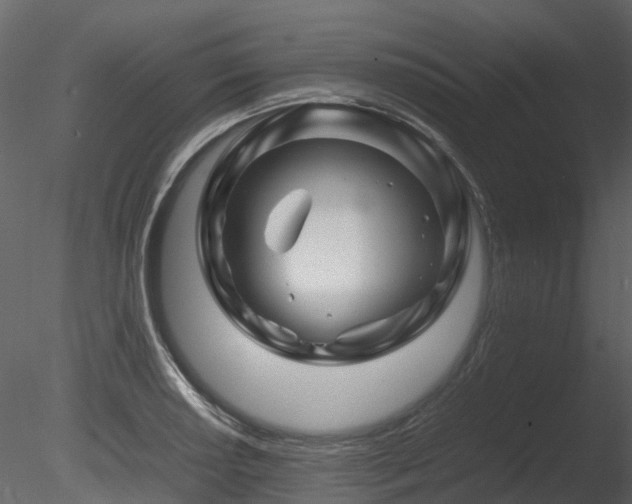 X0000085831034200703161318