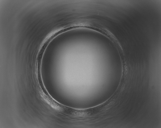 X0000085831035200703161318