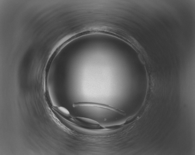 X0000085831036200703161318