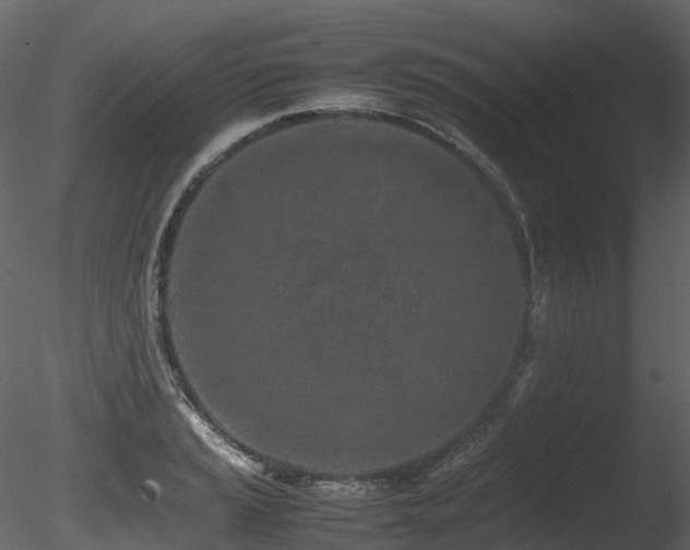 X0000085831037200703161318