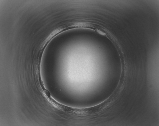 X0000085831041200703161318