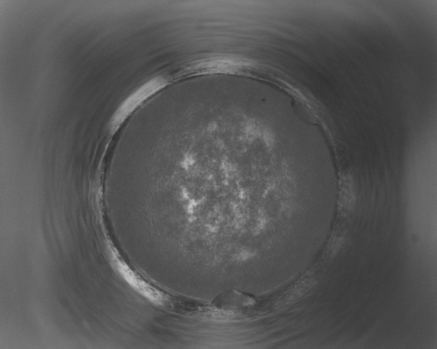 X0000085831042200703161318