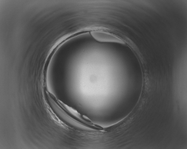 X0000085831044200703161318