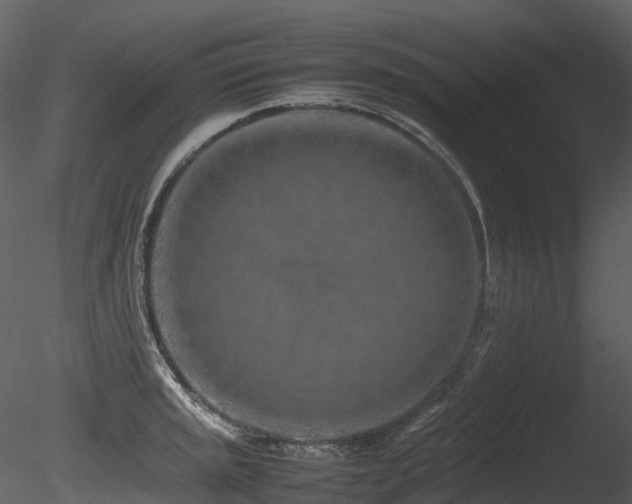 X0000085831045200703161318