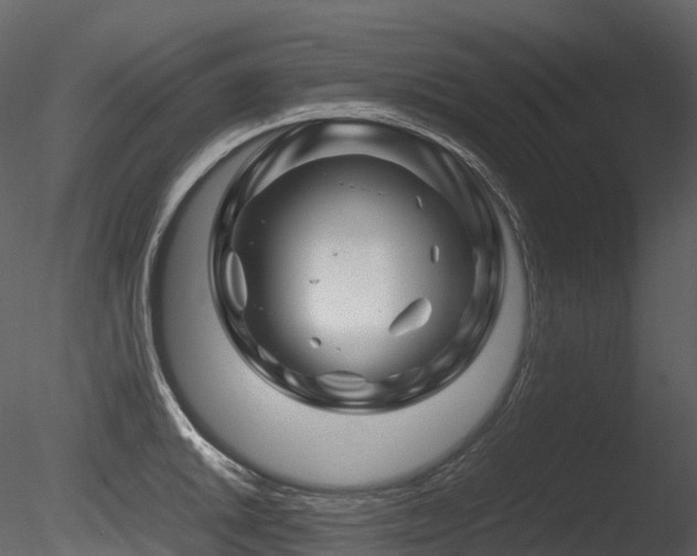 X0000085831046200703161318