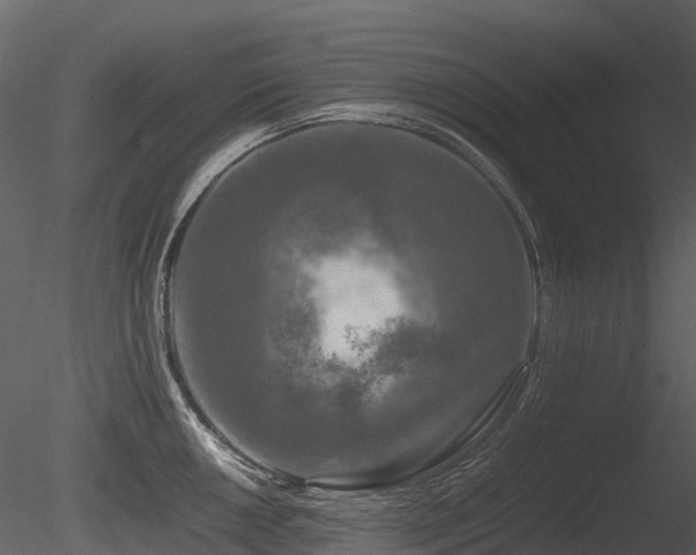X0000085831050200703161318