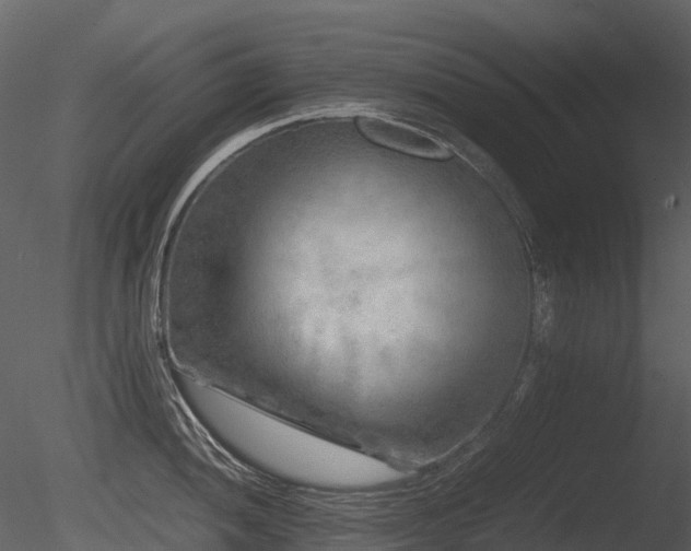 X0000085831052200703161319