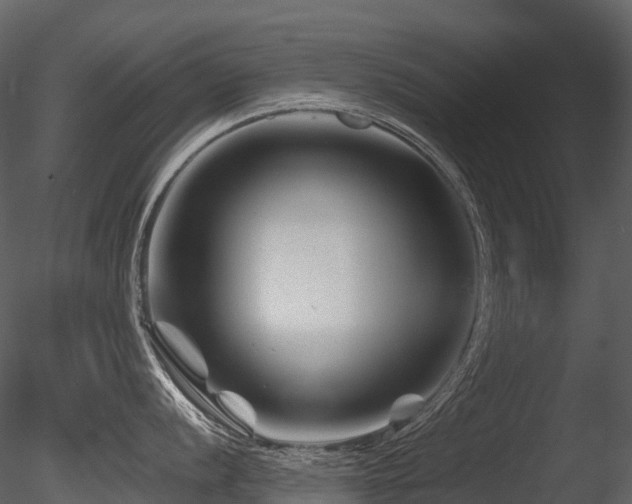X0000085831056200703161319