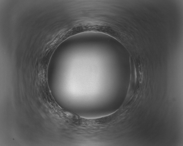 X0000085831061200703161318