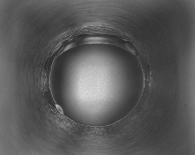X0000085831062200703161318