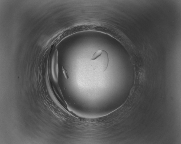 X0000085831064200703161318