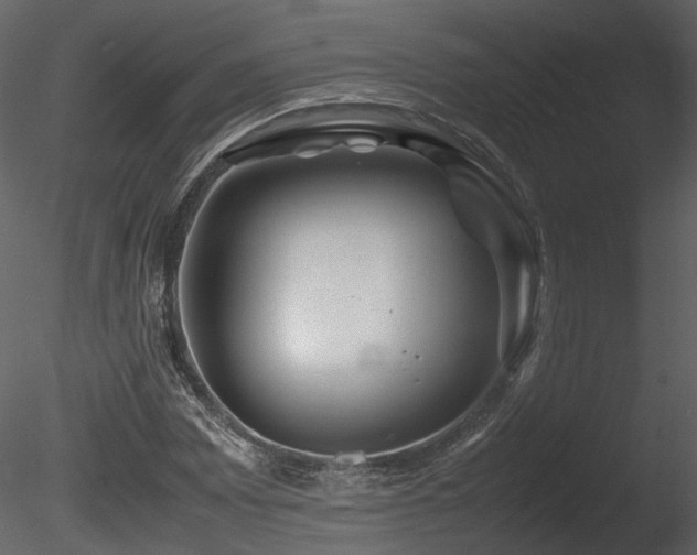 X0000085831065200703161318