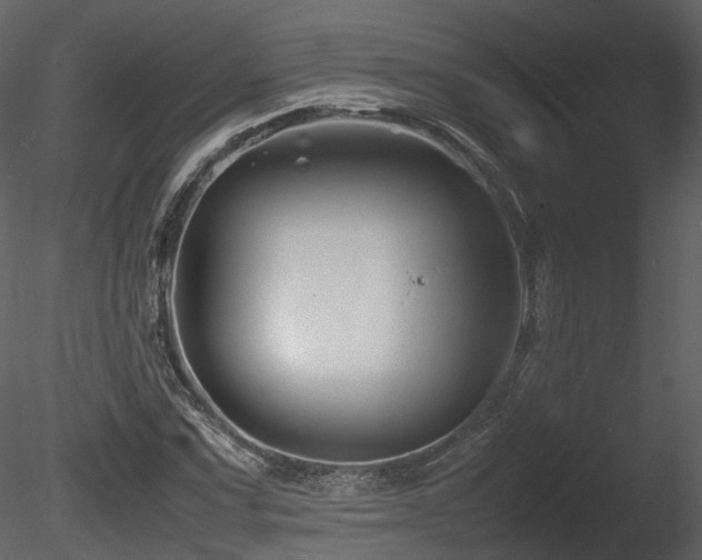 X0000085831067200703161318