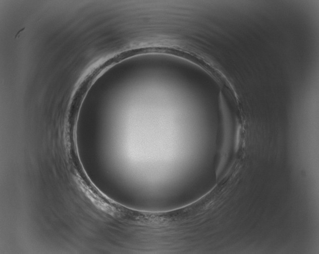 X0000085831072200703161318