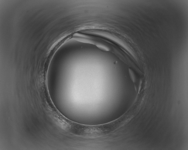 X0000085831073200703161317