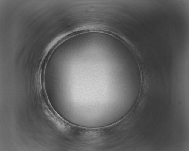 X0000085831078200703161317