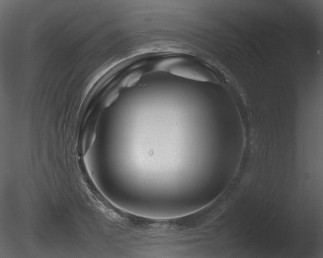 X0000085831081200703161317