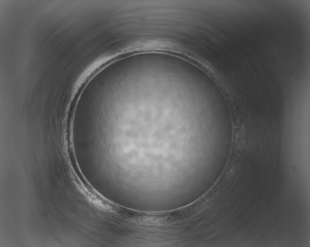 X0000085831086200703161317