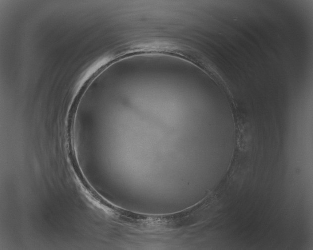 X0000085831087200703161317