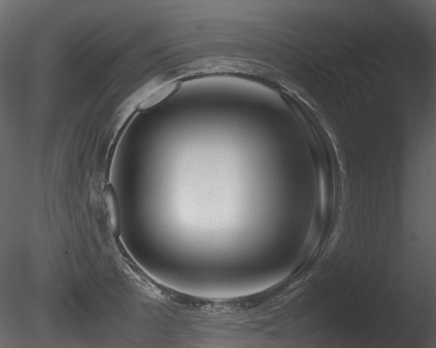 X0000085831089200703161317