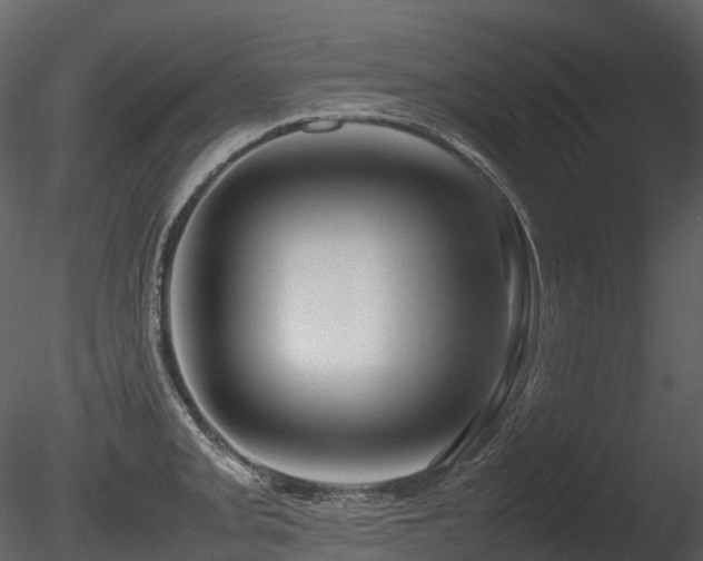 X0000085831093200703161317