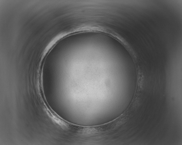X0000085831094200703161317