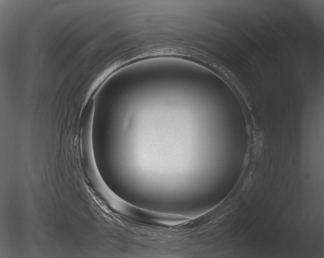 X0000085831097200703161317