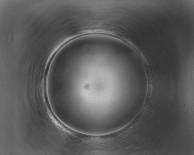 X0000085831100200703161317