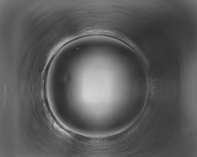 X0000085831102200703161317