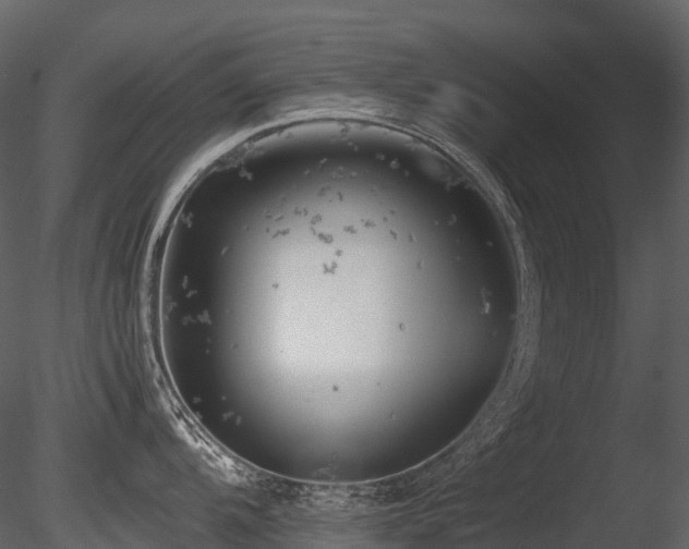 X0000085831104200703161317