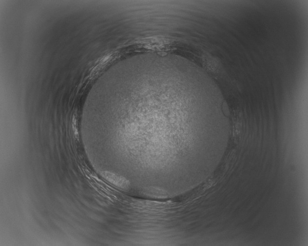 X0000085831106200703161316