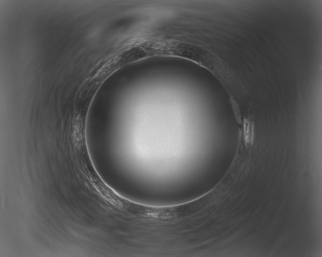 X0000085831107200703161316