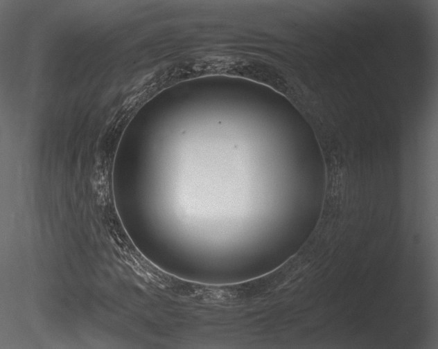 X0000085831109200703161316