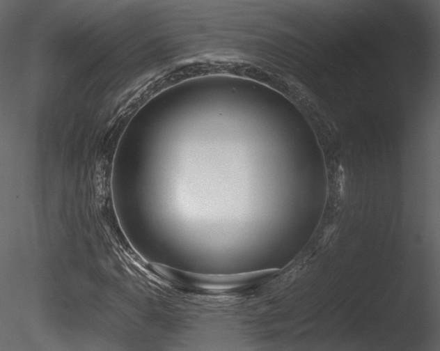 X0000085831110200703161316