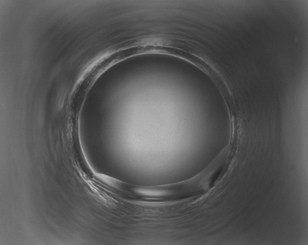 X0000085831115200703161316