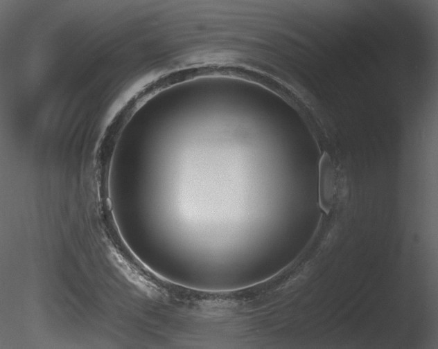 X0000085831118200703161316