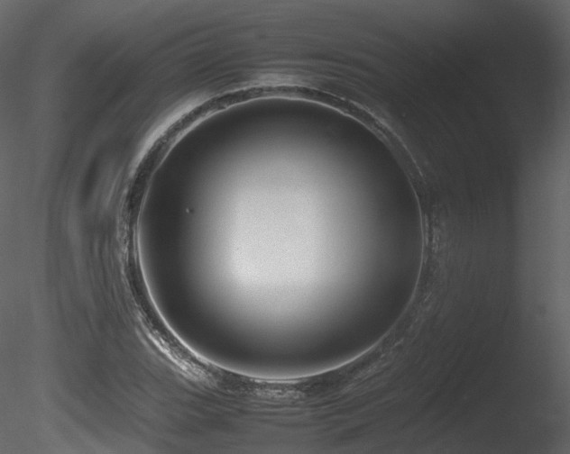 X0000085831119200703161316