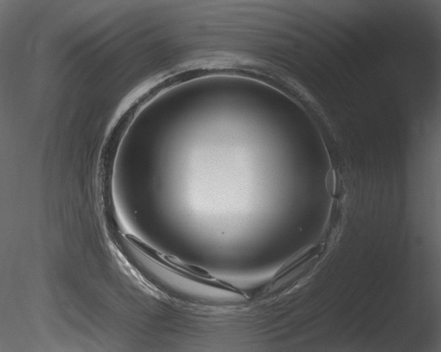 X0000085831122200703161316