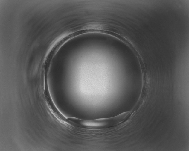 X0000085831123200703161316