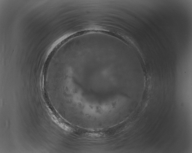 X0000085831125200703161316