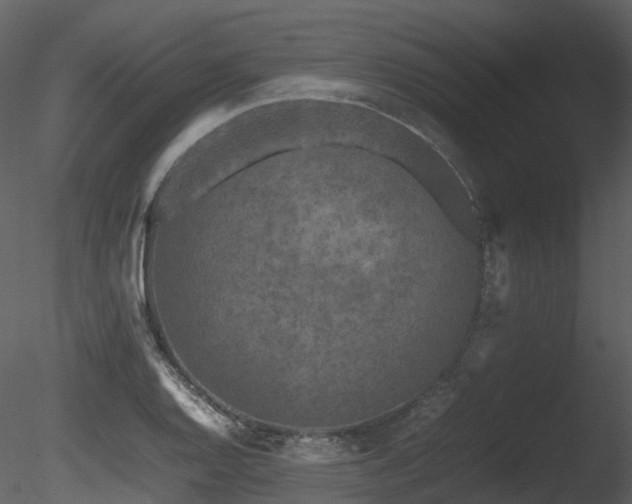 X0000085831128200703161317