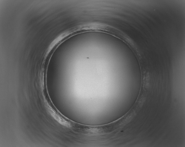 X0000085831130200703161317