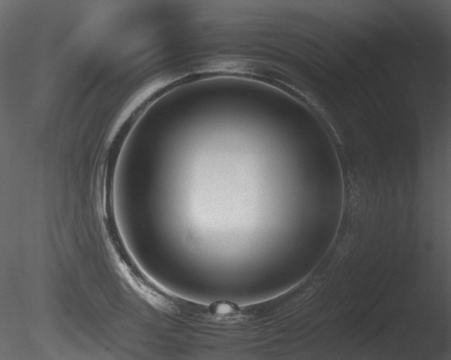X0000085831131200703161317