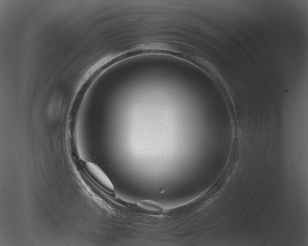 X0000085831133200703161317