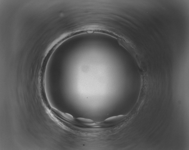 X0000085831134200703161317