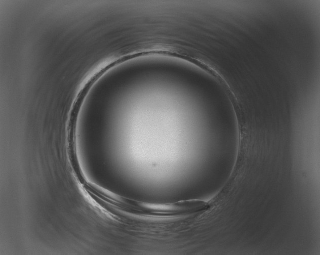 X0000085831135200703161317