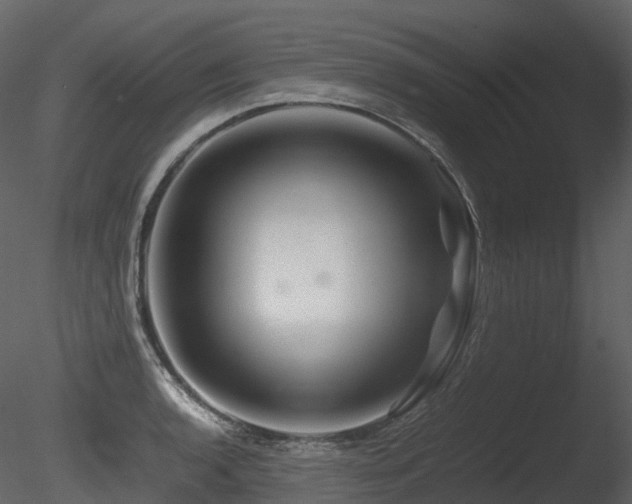 X0000085831136200703161317