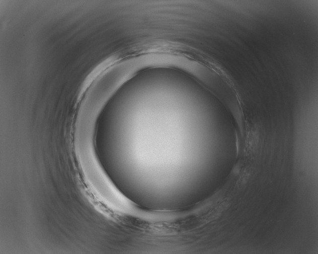 X0000085831138200703161317